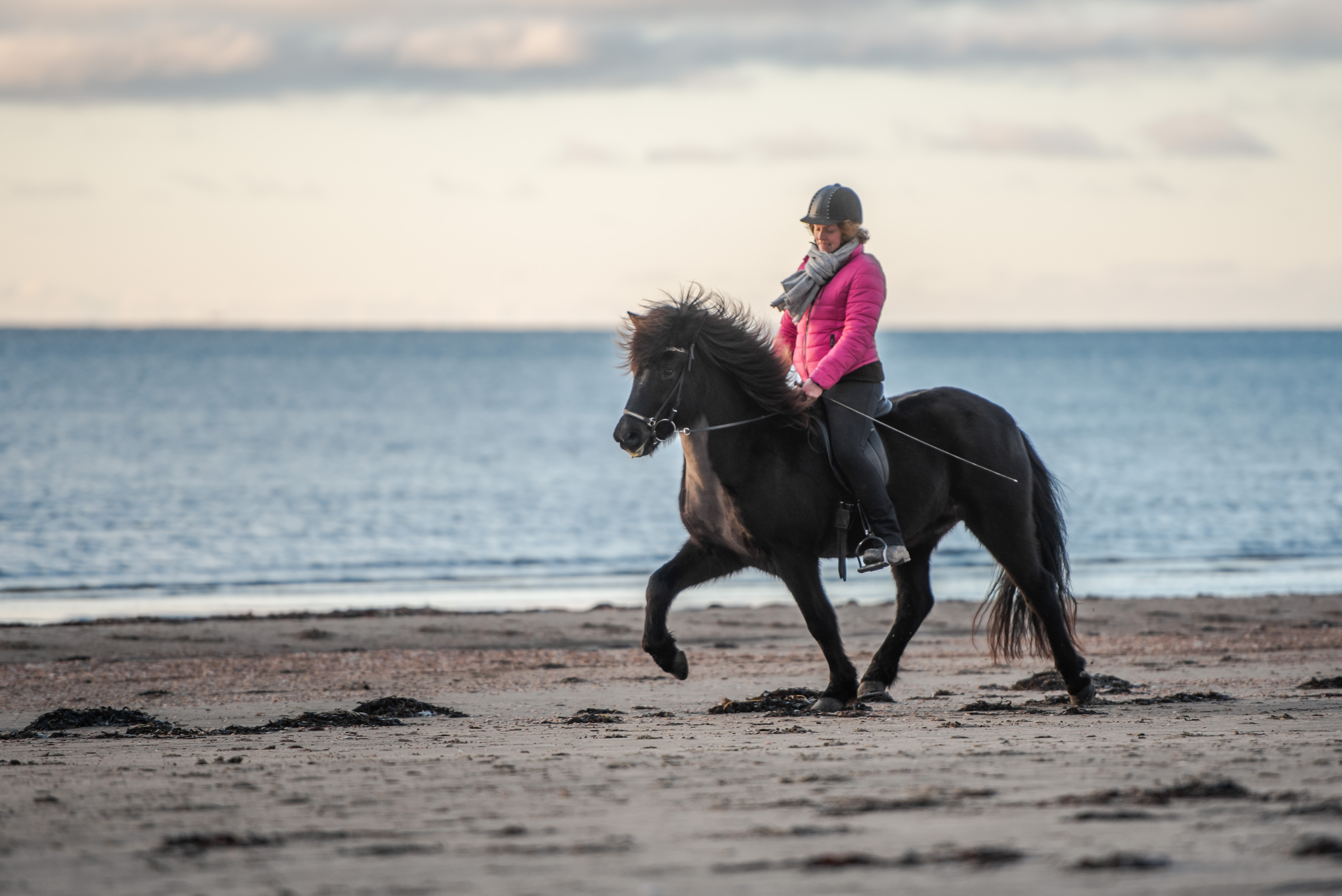 Ryttare med häst på stranden