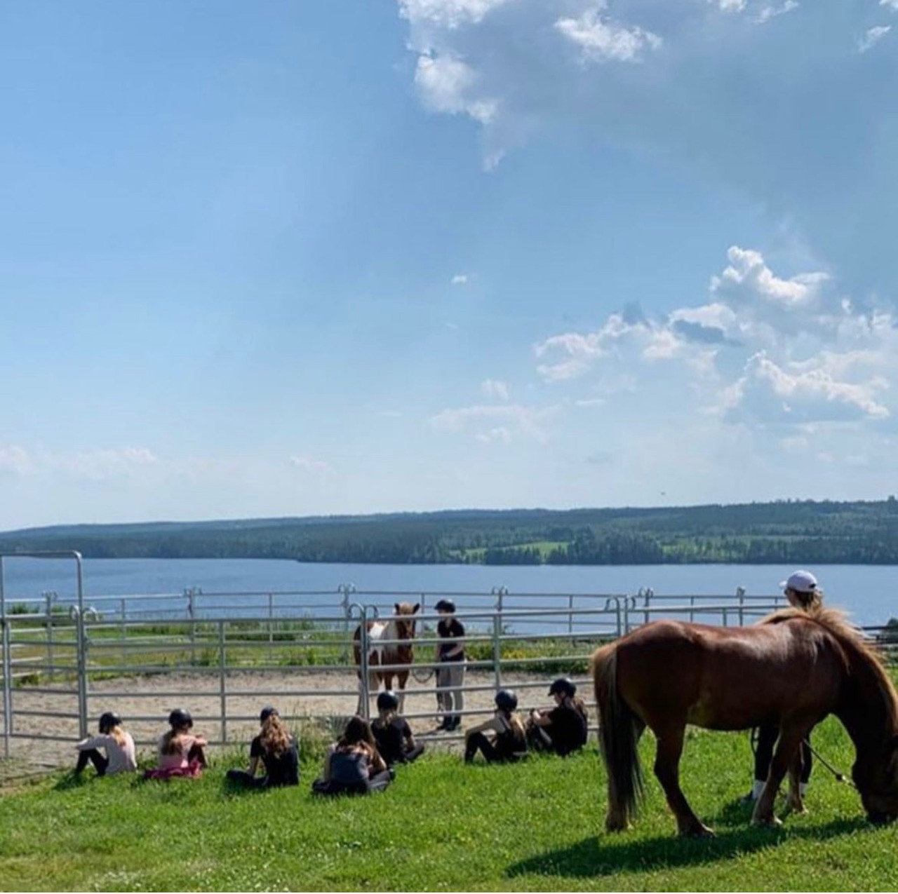 Hästar och ungdomar i solen vid en sjö